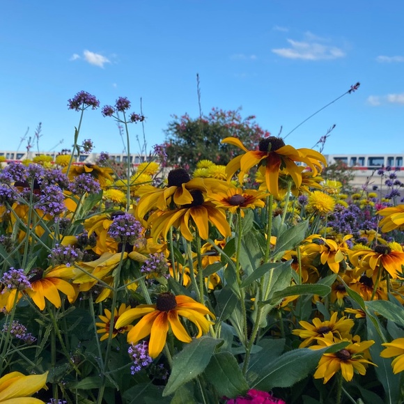 Meet your Posher, Posh - Picture 2 of 2